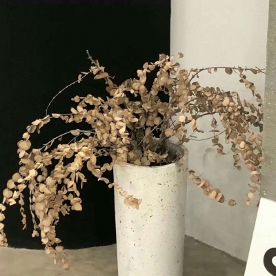 抚宁福瑞交流群